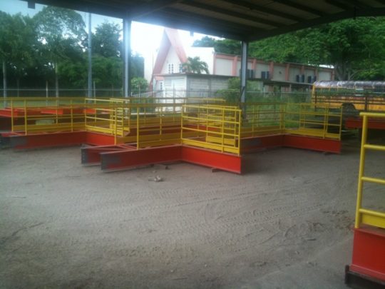 Catwalk - Pfizer Fab 04